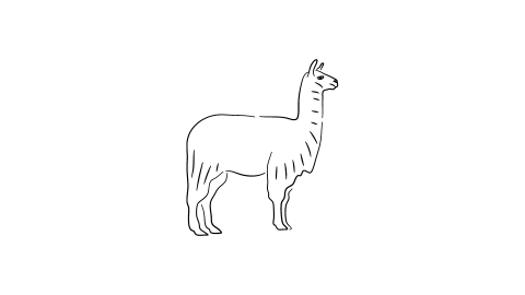 Alpaca