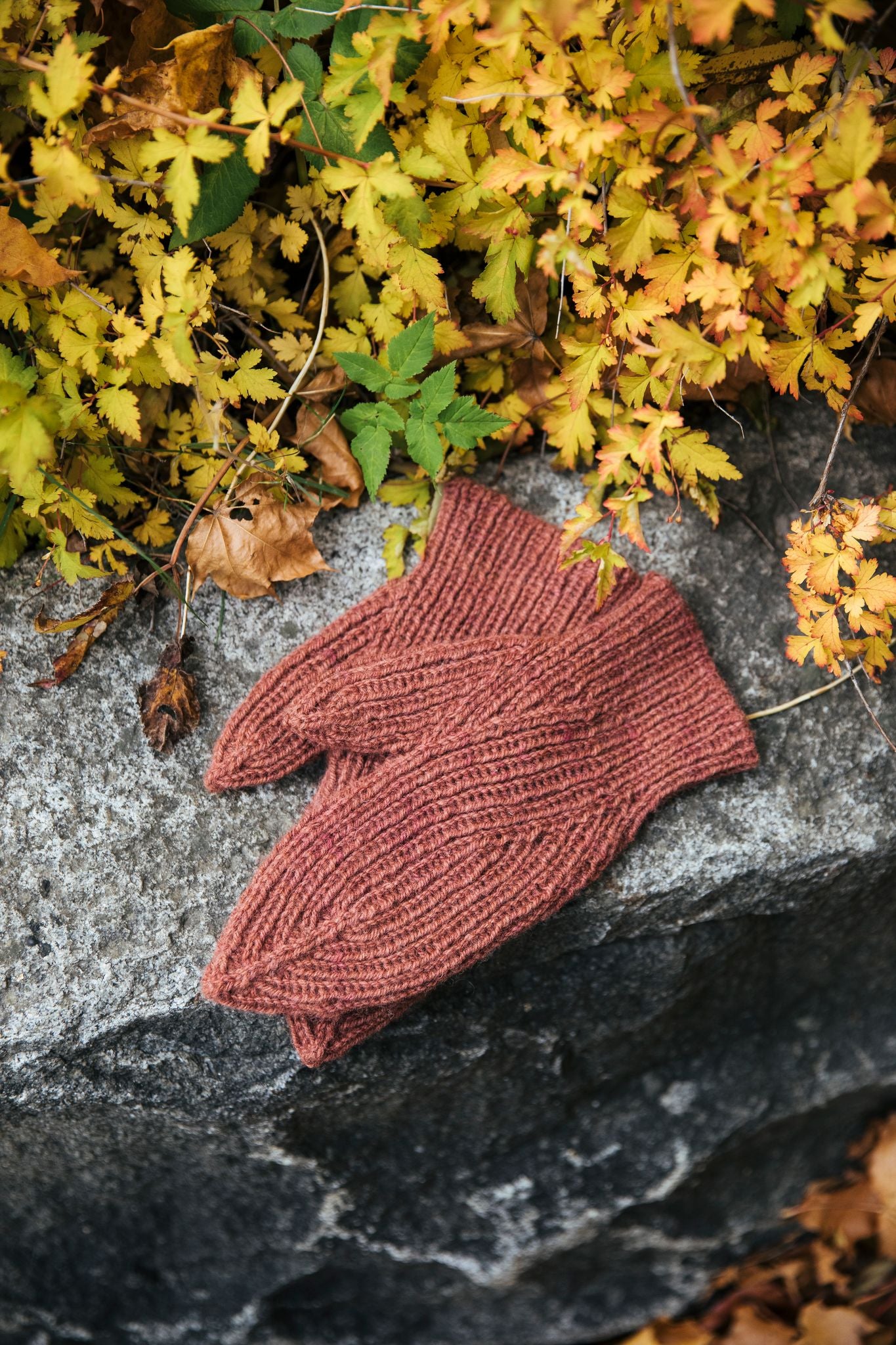 Laine 52 Weeks of Accessories