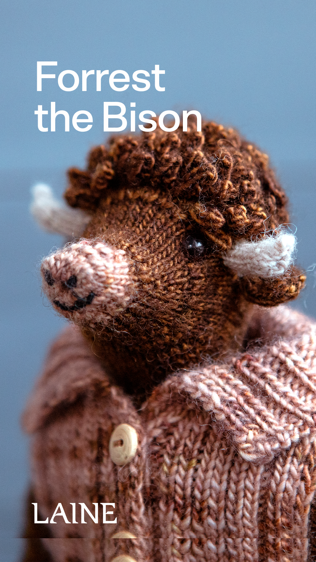 Laine Mouche & Friends by Cinthia Vallet